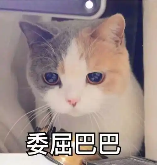 番禺人挺住2018年最新放假时间表出炉除夕的前一天竟然是
