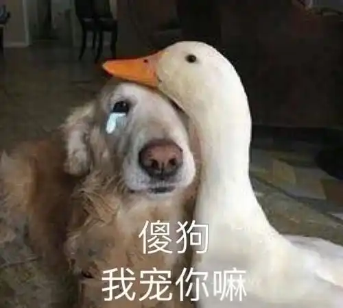 每日一笑因为在你之前还没遇到过能让我为之撒谎的爱
