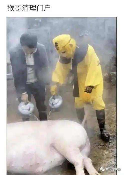 第217期搞笑趣图没有那金刚蛋,就别揽瓷器活
