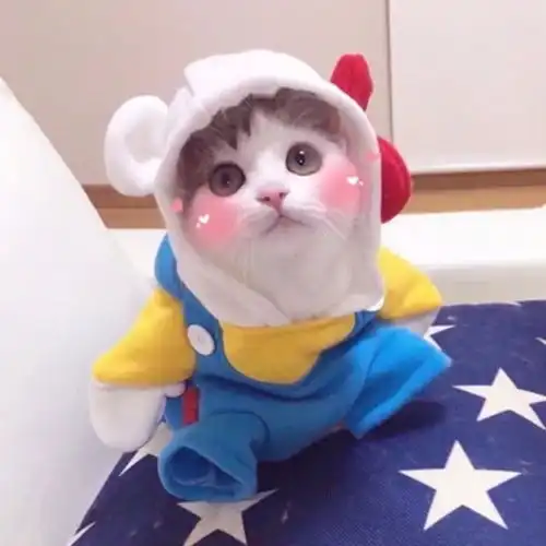 有趣的自动回复留言
