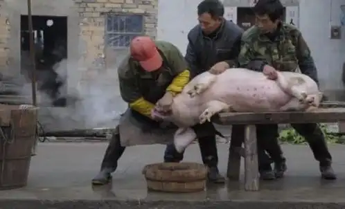 狗为什么会害怕经常杀生的人它们又是如何识别的

