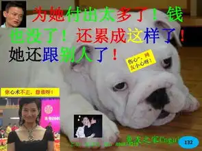 马云幽默相册

