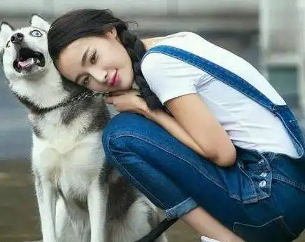 搞笑gif不是,我奶奶从来不管闲事
