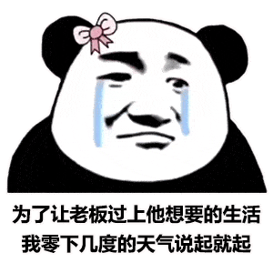最近头好痒,不会长脑子了吧