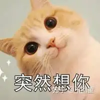 有什么特别可爱猫猫的动态图或表情包吗
