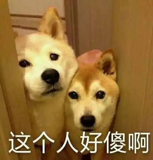 相亲遇到钢铁直男