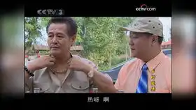 王大拿表白谢大脚,谢大脚言而无信,坑坏王大拿爆笑解说乡村爱情
