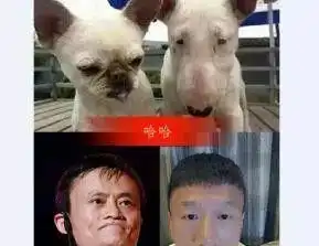 一大波搞笑神同步图片来袭,一起欢乐
