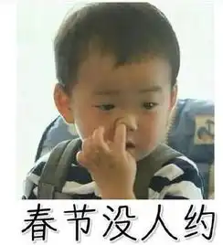 长安翔之星
