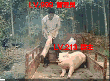 谁有那张管理员打群主那张图片的原图人用木棒在三轮车上打猪那个
