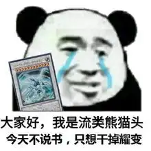 搞笑表情包大家好,我是流泪熊猫头
