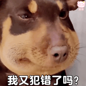 被蜜蜂蛰了的狗狗系列表情包
