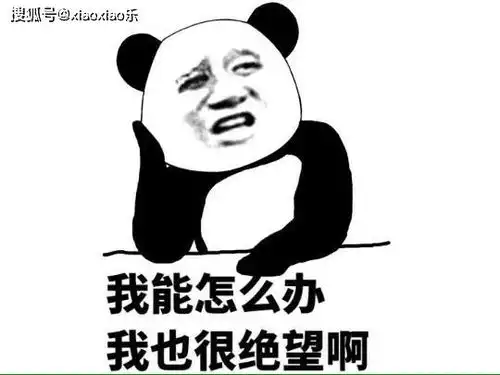 最风趣,最幽默的段子,真是笑死人不偿命,想要开心就看看爸爸
