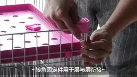 起床搬砖啦帕拉丁篇
