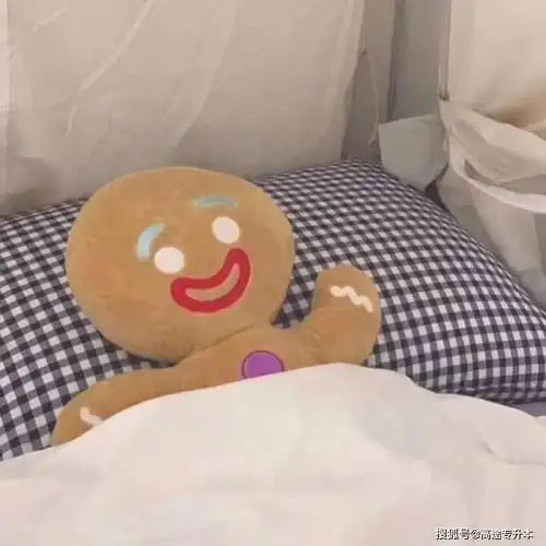 高途河南专升本专升本备考六大须知
