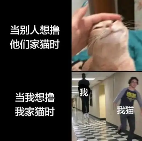 搞笑趣图当你吃完薄荷糖再喝水的时候
