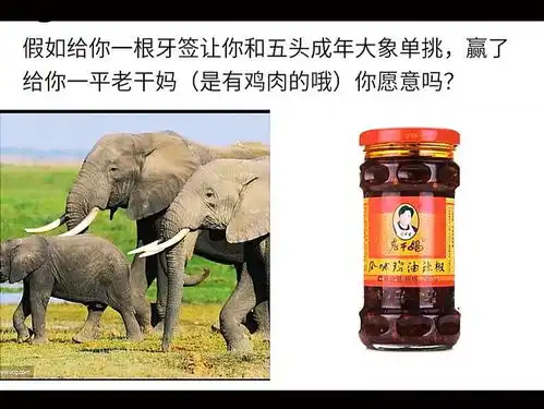 搞笑趣图狗狗做了坏事以后vs猫咪做了坏事以后

