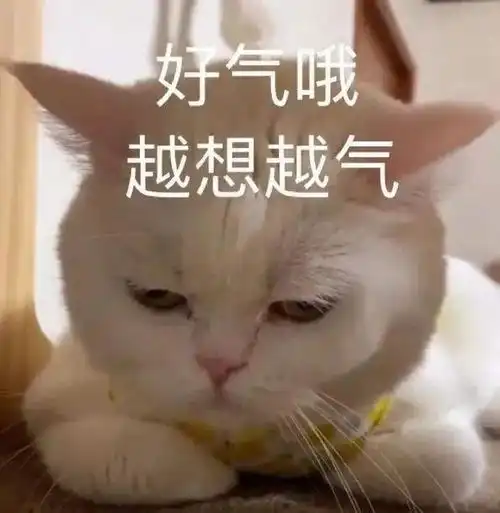 搞笑图片我们啊不辛苦,我们命苦考研大冤种
