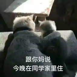 各种动物表情包
