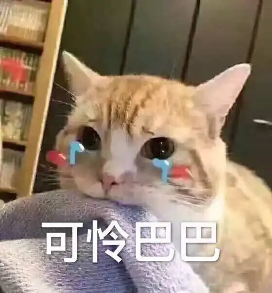 搞笑的猫咪表情包31张,拿去折腾男朋友吧
