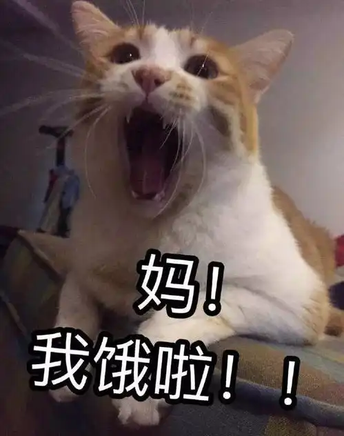母亲节快到了,没想好买什么礼物不如陪妈妈好好吃顿饭吧
