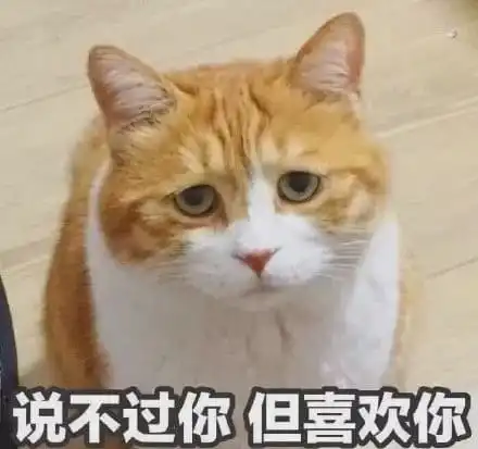 亚洲的顶级神颜,颠倒众生,富可敌国,栽在丑男身上
