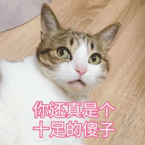 斗图小表情1.19
