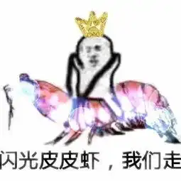 前方高能,皮皮虾,我们走已被玩坏
