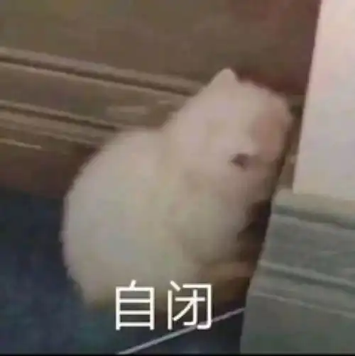 女朋友很可爱是什么体验当然是爱用沙雕高糊表情包
