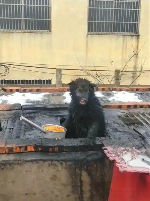 哈哈哈哈哈哈再厚的口罩也挡不住我的笑声
