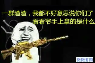 搞笑暴走图片带字持枪
