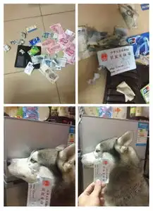 搞笑图片大全
