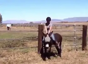 世界上还有比香奈儿更贵的液体哈哈哈这是买蝎毒的人写的吧
