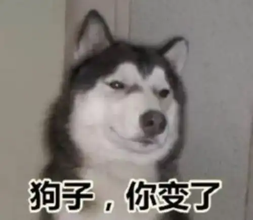 沙雕表情包正义的我不能视而不见
