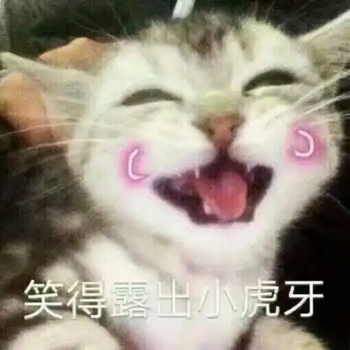 有没有那种既沙雕又搞怪的朋友圈文案
