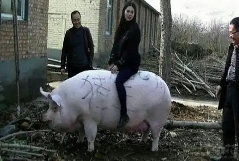 小时候您抱我看电影,现在你老了儿子抱你看大戏
