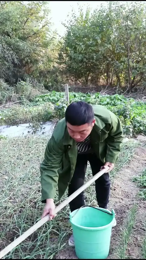 全村最肯吃的人搞笑我们是认真的谢谢支持
