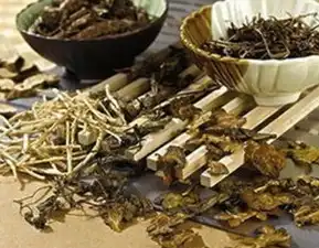 中药真的能根治狐臭吗
