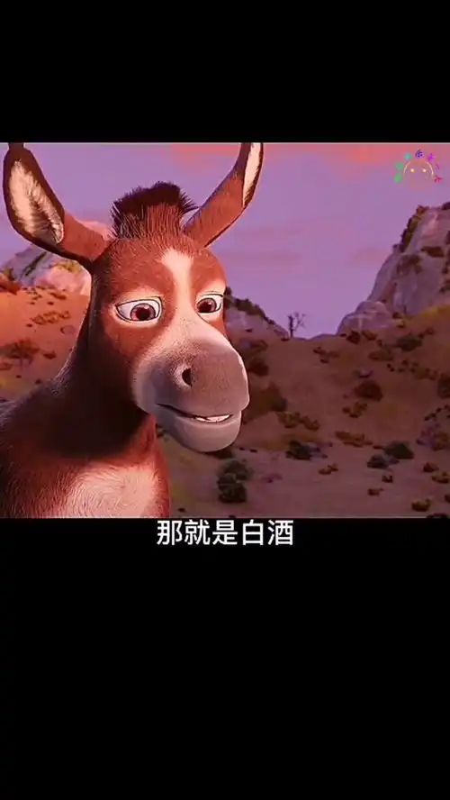 驴哥爆笑恶搞段子
