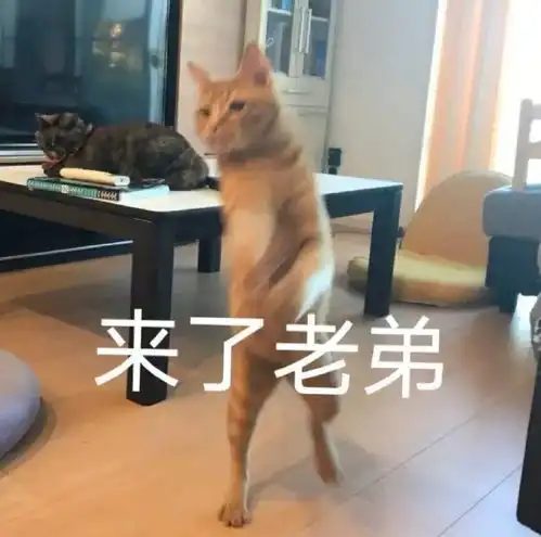 2021搞笑的跨年文案
