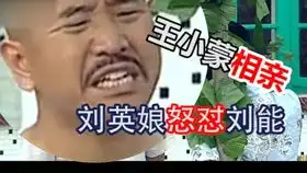 爆笑解说乡村爱情王长贵对谢大脚说过的虎狼之词,警察都被招来了

