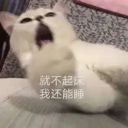 关于起床的表情包合集每天起床第一句,先给自己打个气,加油
