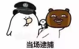 全都是真的2018年度全国最傻警情盘点,太好笑了哈哈哈