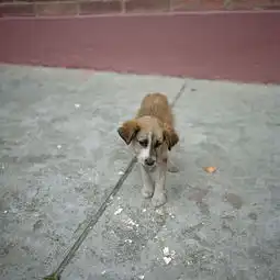 搞事情当红摄影艺术家alecsoth助阵华为新影像大赛评审
