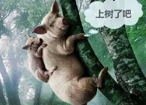 李世民问袁天罡大唐何时亡答猪上树之时结果字字应验

