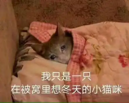 不想起床表情包合集
