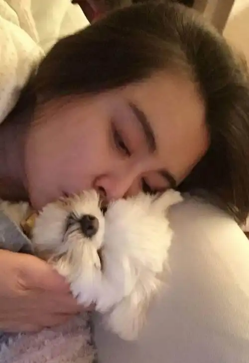 王祖贤53岁生日不忘为武汉祈福,晒出新照戴着口罩难掩惊艳美貌
