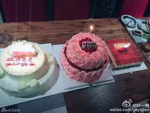 叶一茜一家为田亮庆生手切蛋糕温馨甜蜜