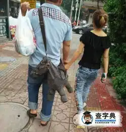 你这包从哪买的感觉好搞笑图片
