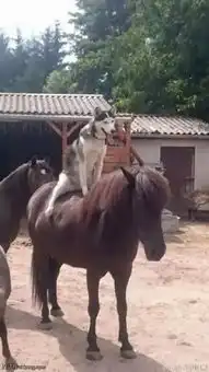 搞笑图片公司空调坏了,还要难为这个妹子